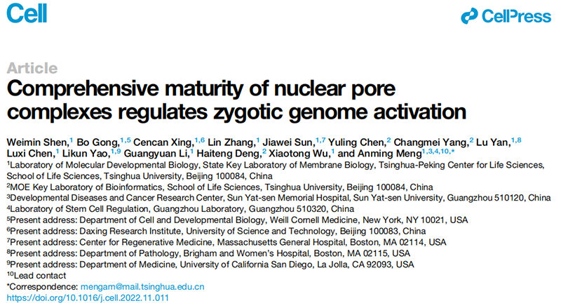 清華大學生命科學學院孟安明院士課題組揭示核孔復合體調(diào)控合子基因組激活新機制,全式金